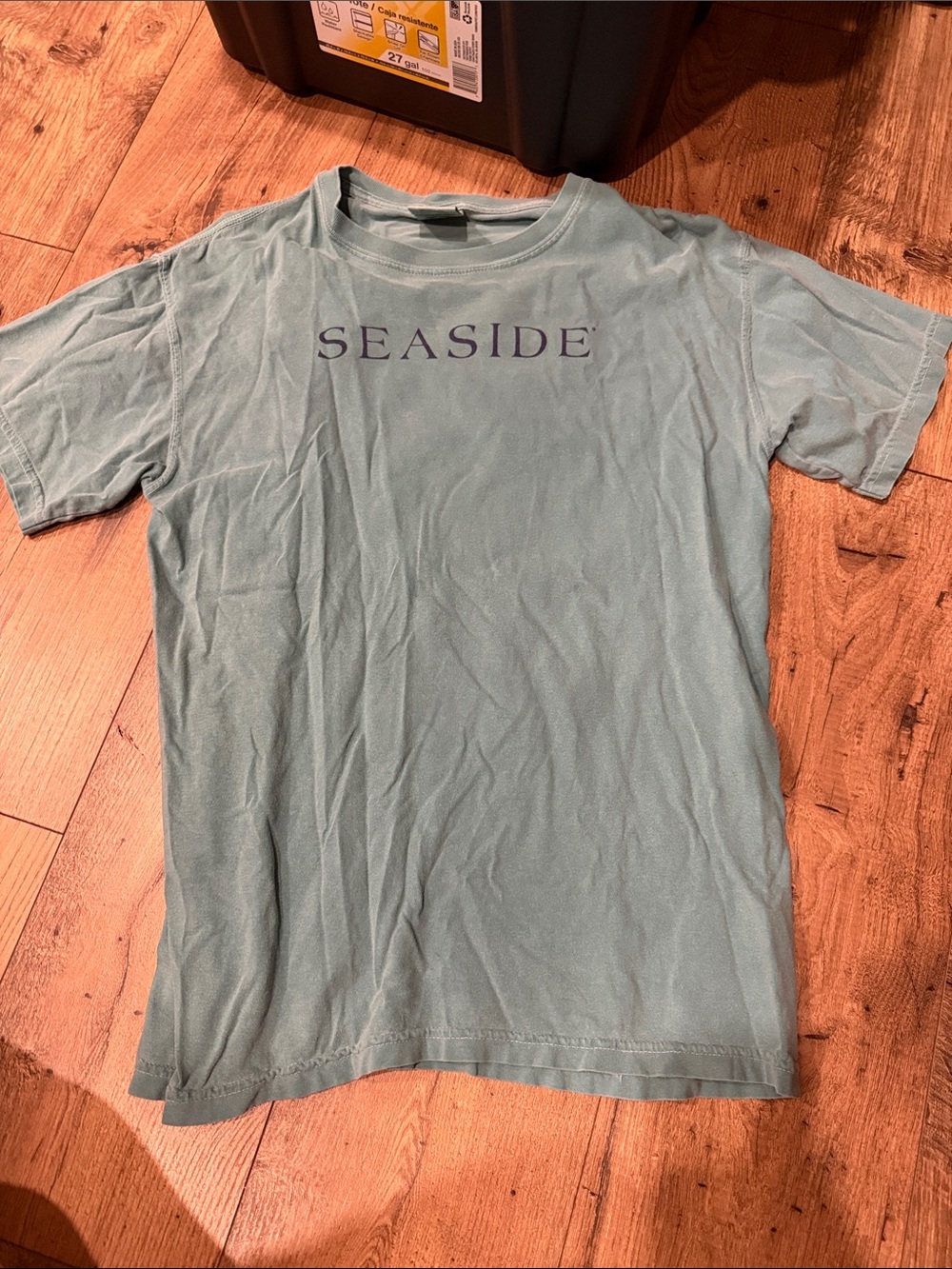 Seaside Crewneck T-Shirt in Seafoam Green